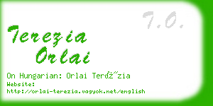 terezia orlai business card